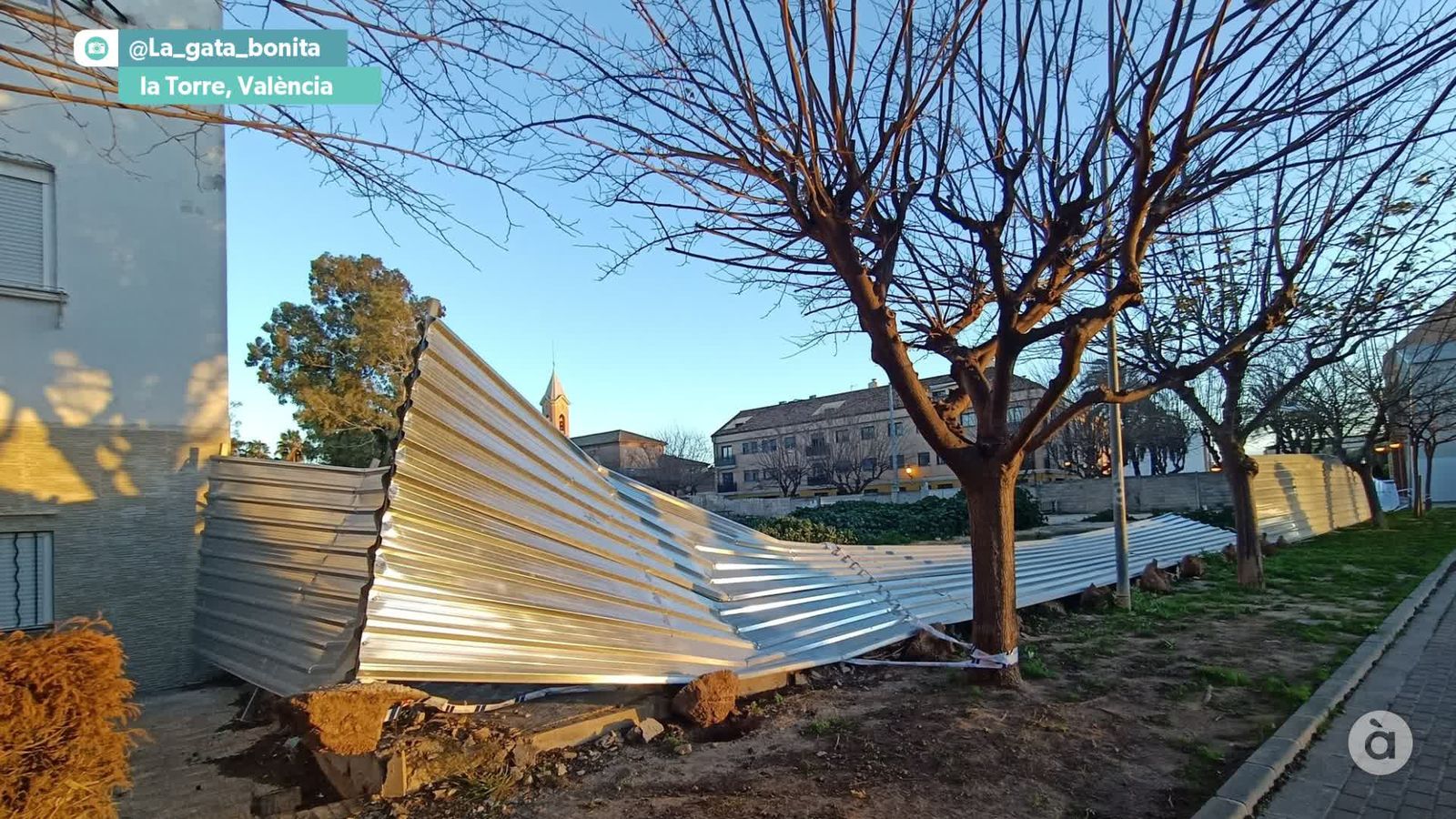 captura_2026-02-05 NIT_JAVI_F LA TORRE_WM