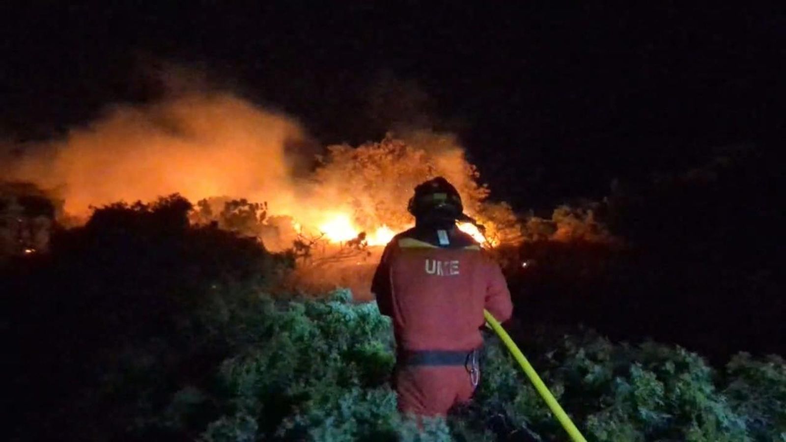 Pendents de les flames