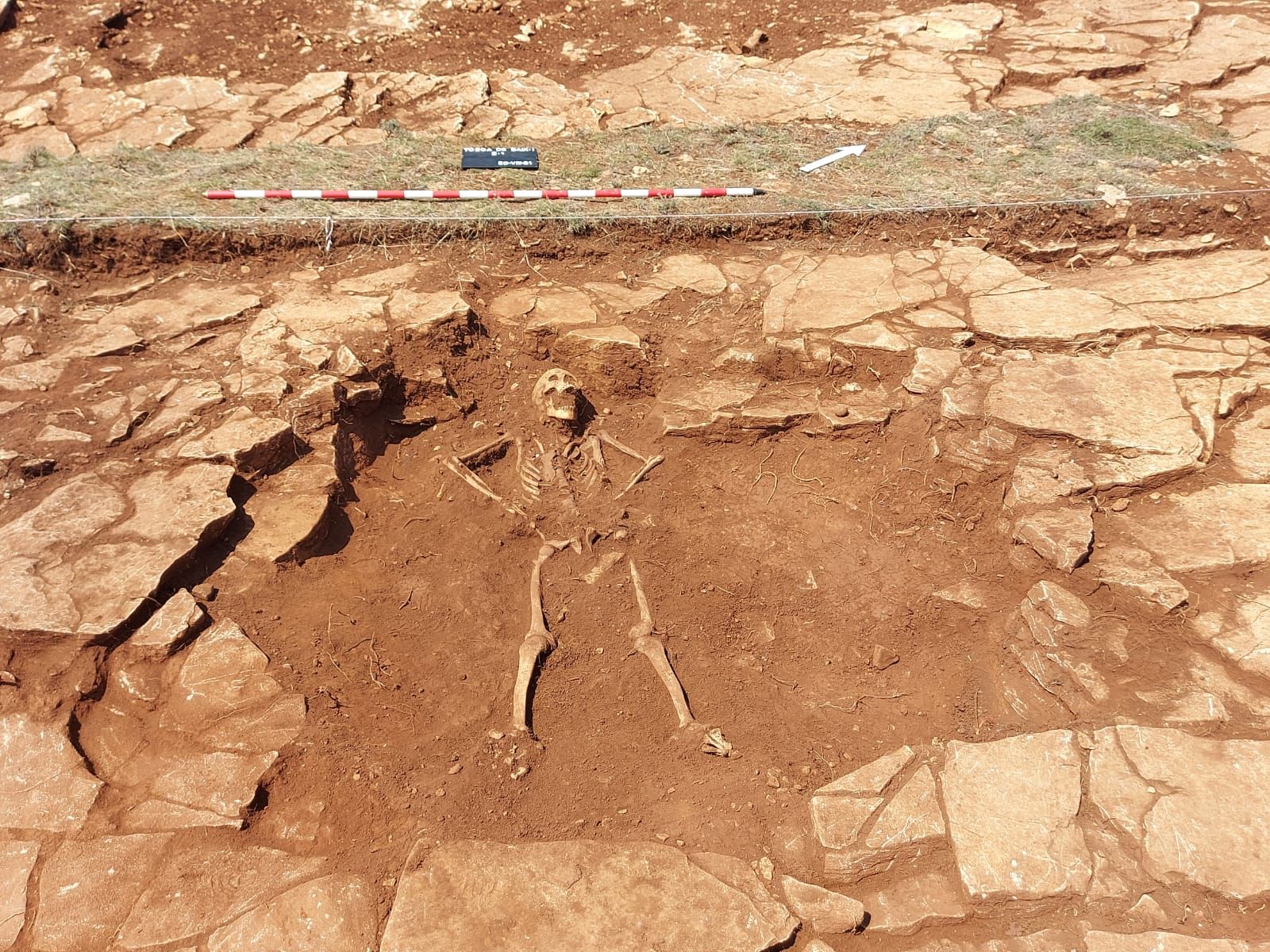 Les restes trobades a Vilafranca
