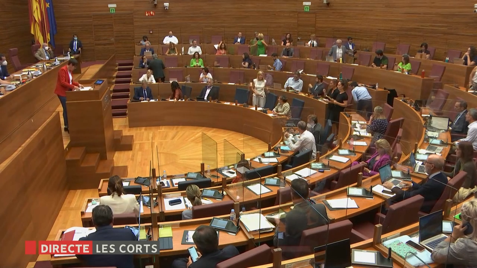 Pilar Lima a la tribuna de les Corts