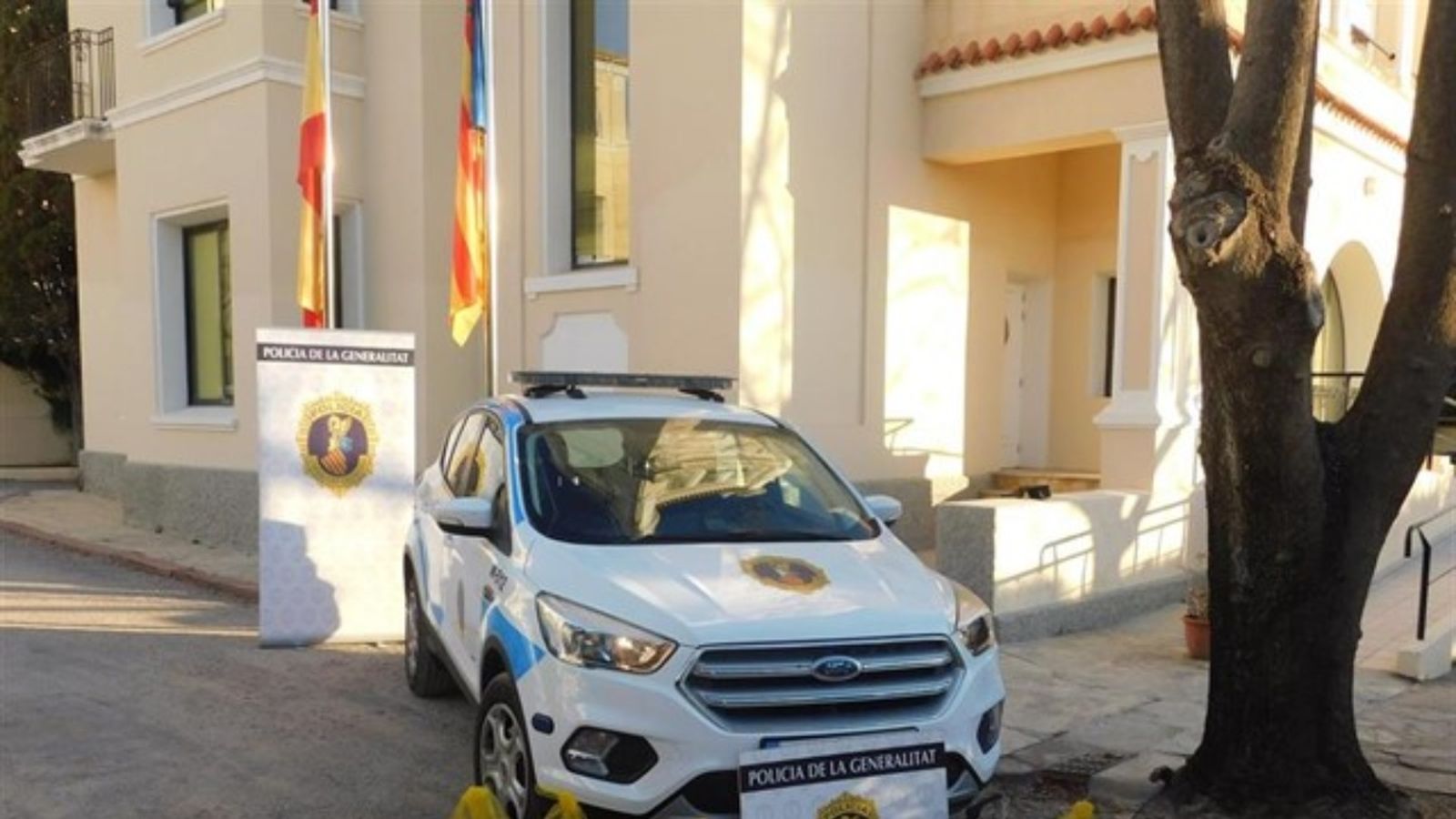 Detingut un agent de la Policia Nacional adscrita a la Comunitat Valenciana per un delicte de maltractaments