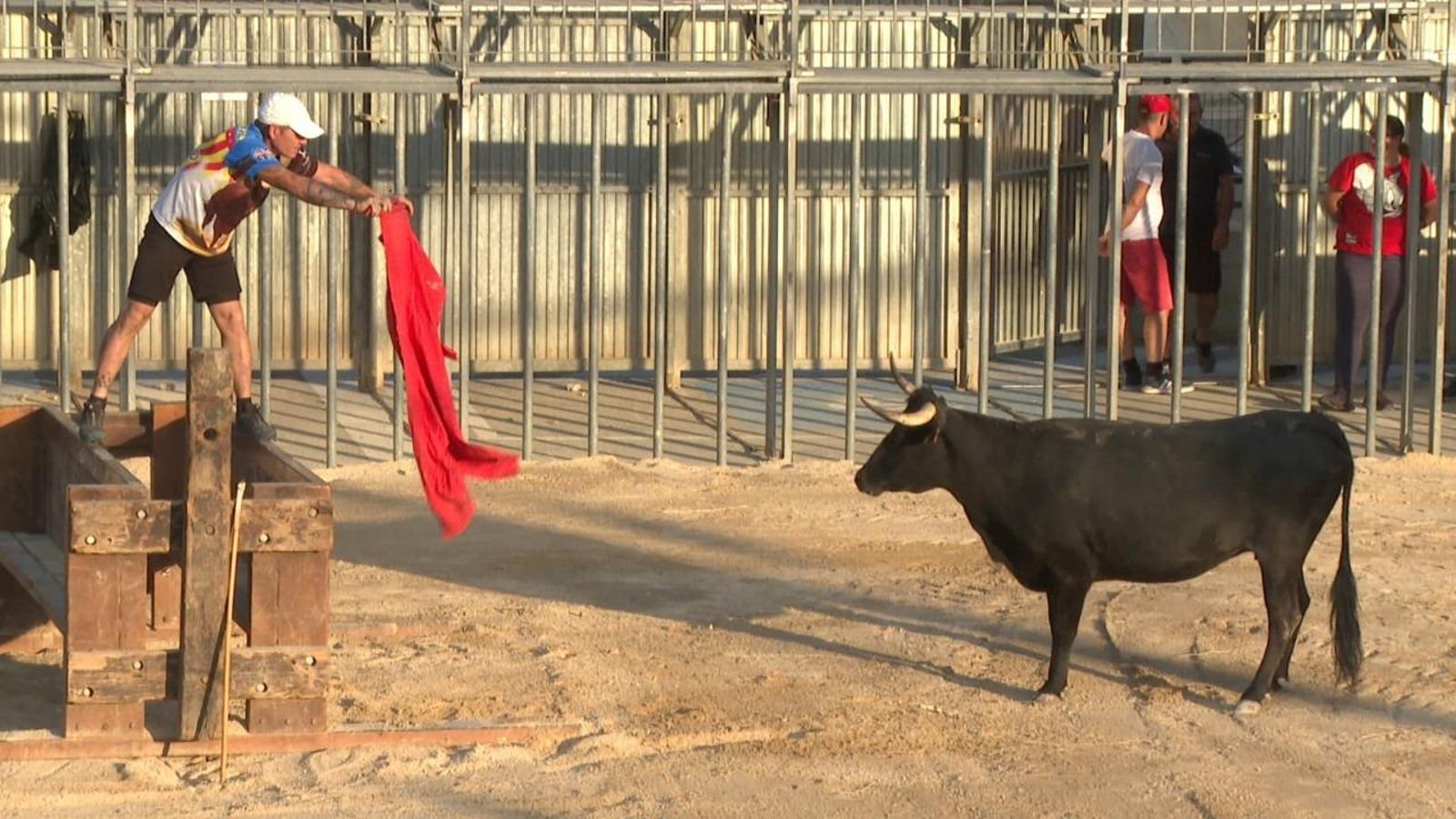 Un home participa en una activitat taurina