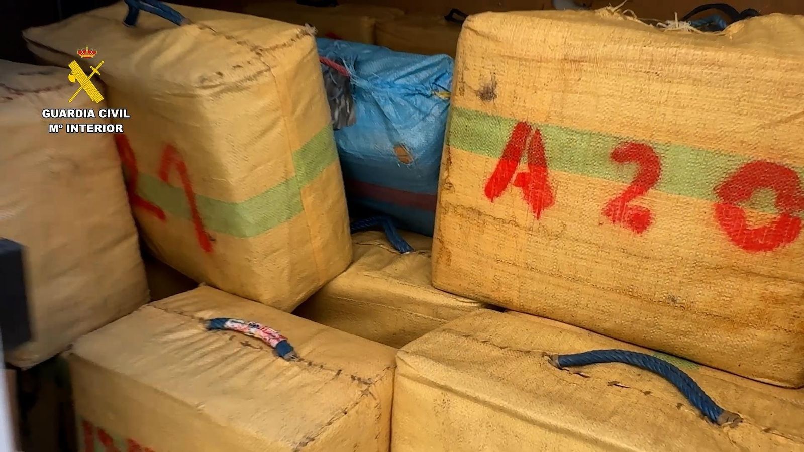 Haixix intervingut en l'operació Marató25