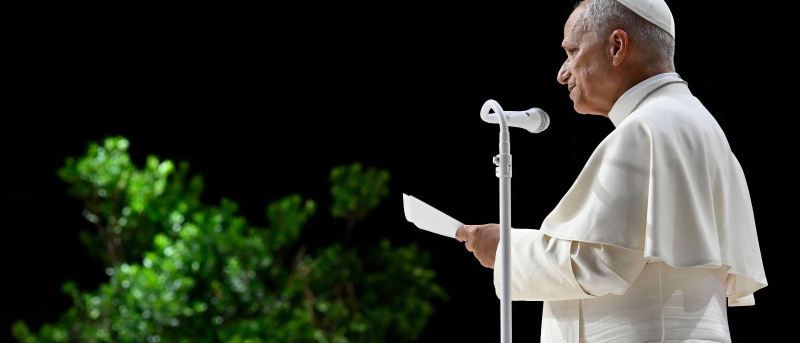 À Punt acompanya el papa Lleó XIV en el seu viatge a Espanya a través de totes les plataformes: televisió, ràdio, web i xarxes
