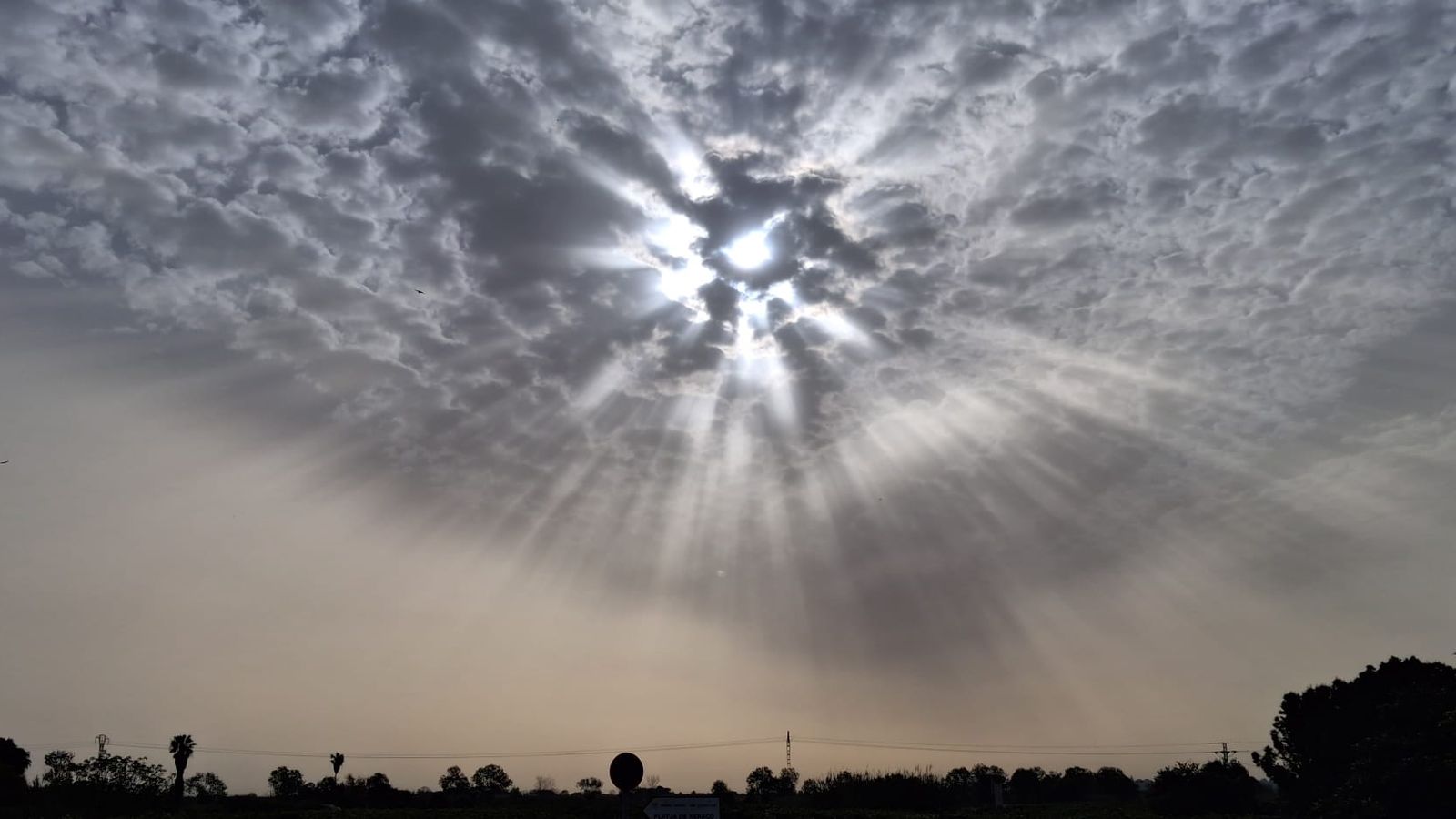 VICENTE BURGOS, Xeraco, la Safor