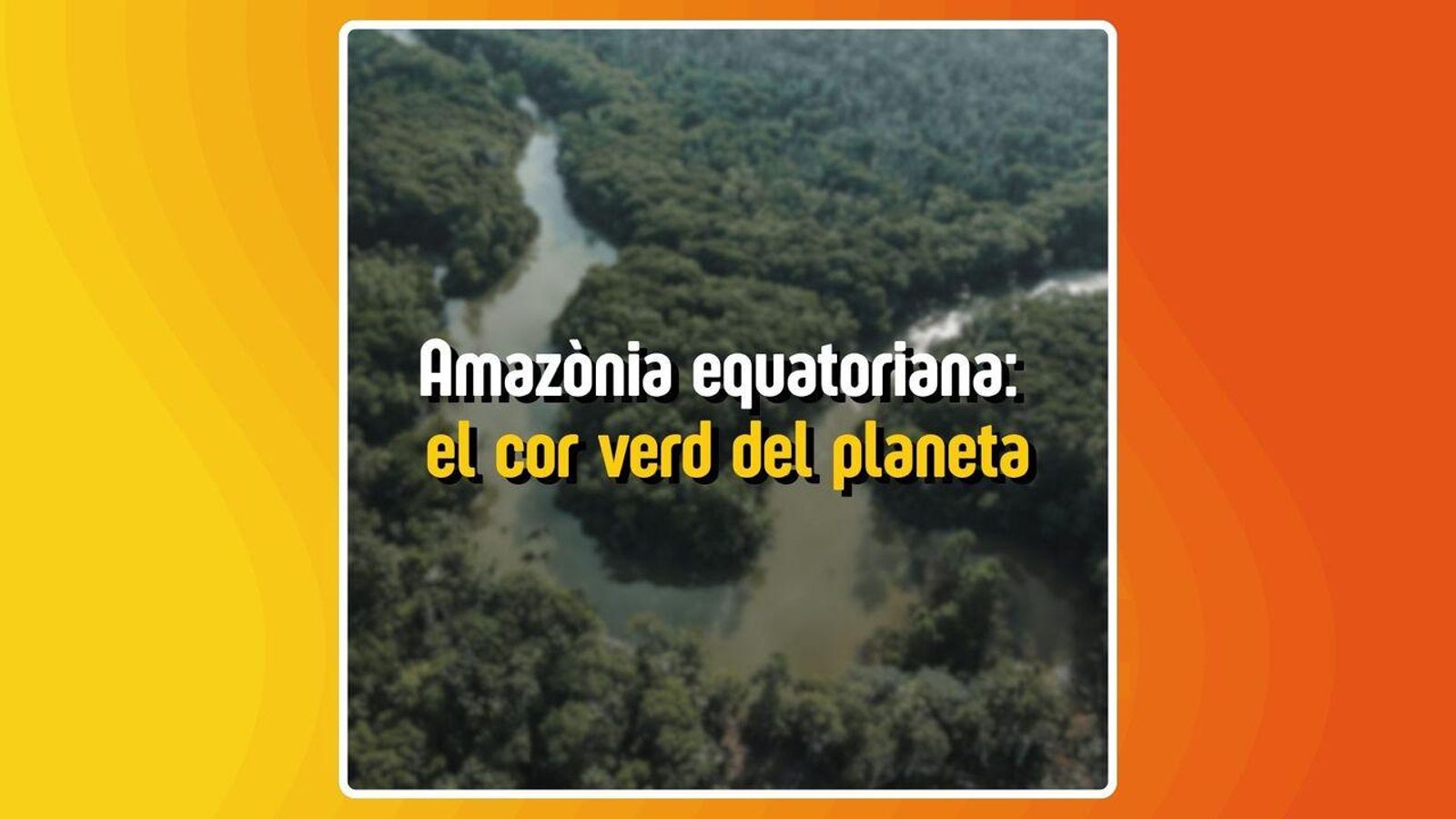 05.11.2025 | Amazònia equatoriana: el cor verd del planeta