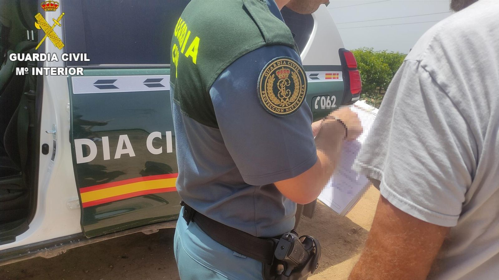 Els agents van recollir els animals, que estan en una protectora, fins que es decidisca la seua destinació