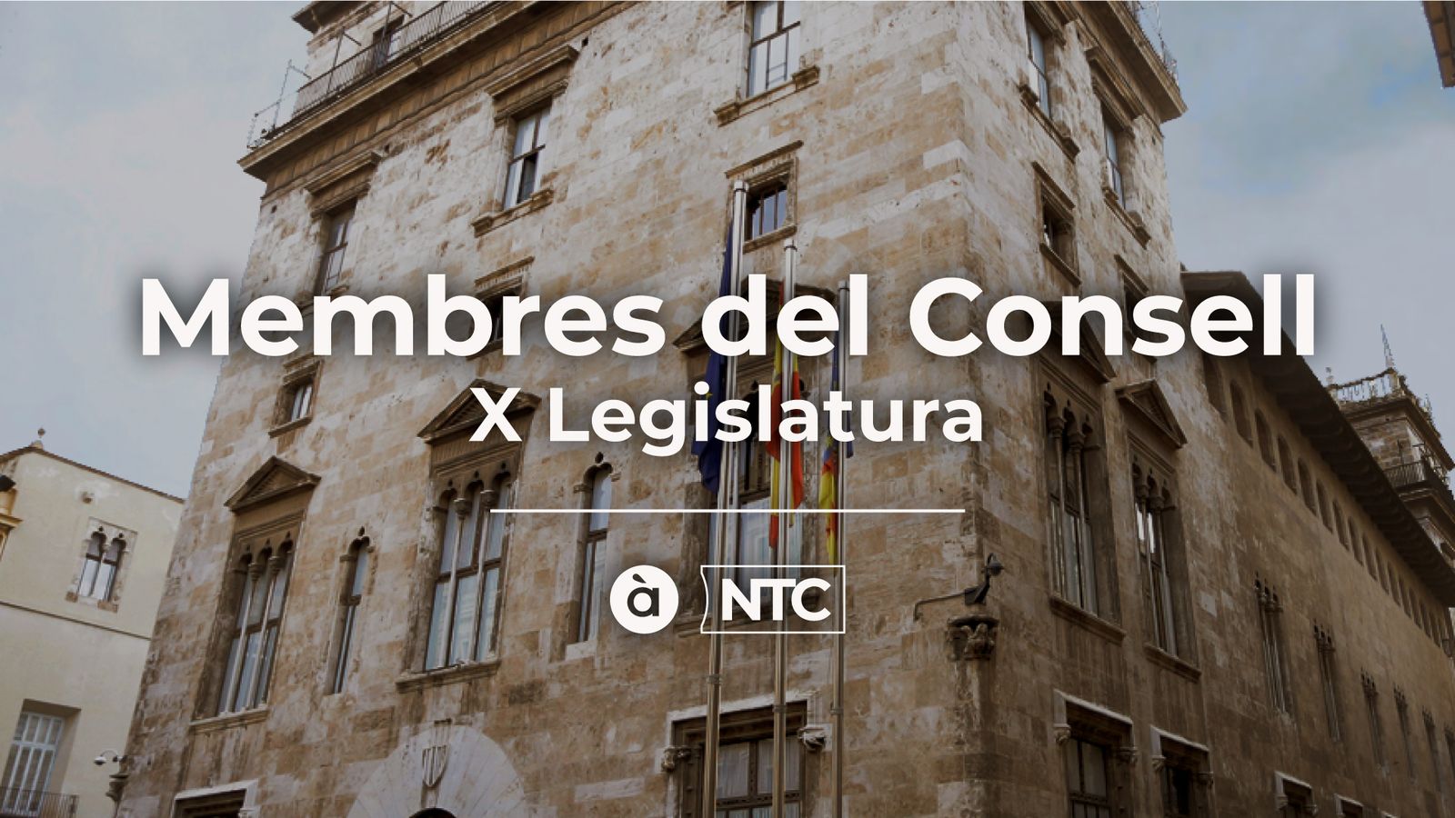 Composició del Consell de la X Legislatura.