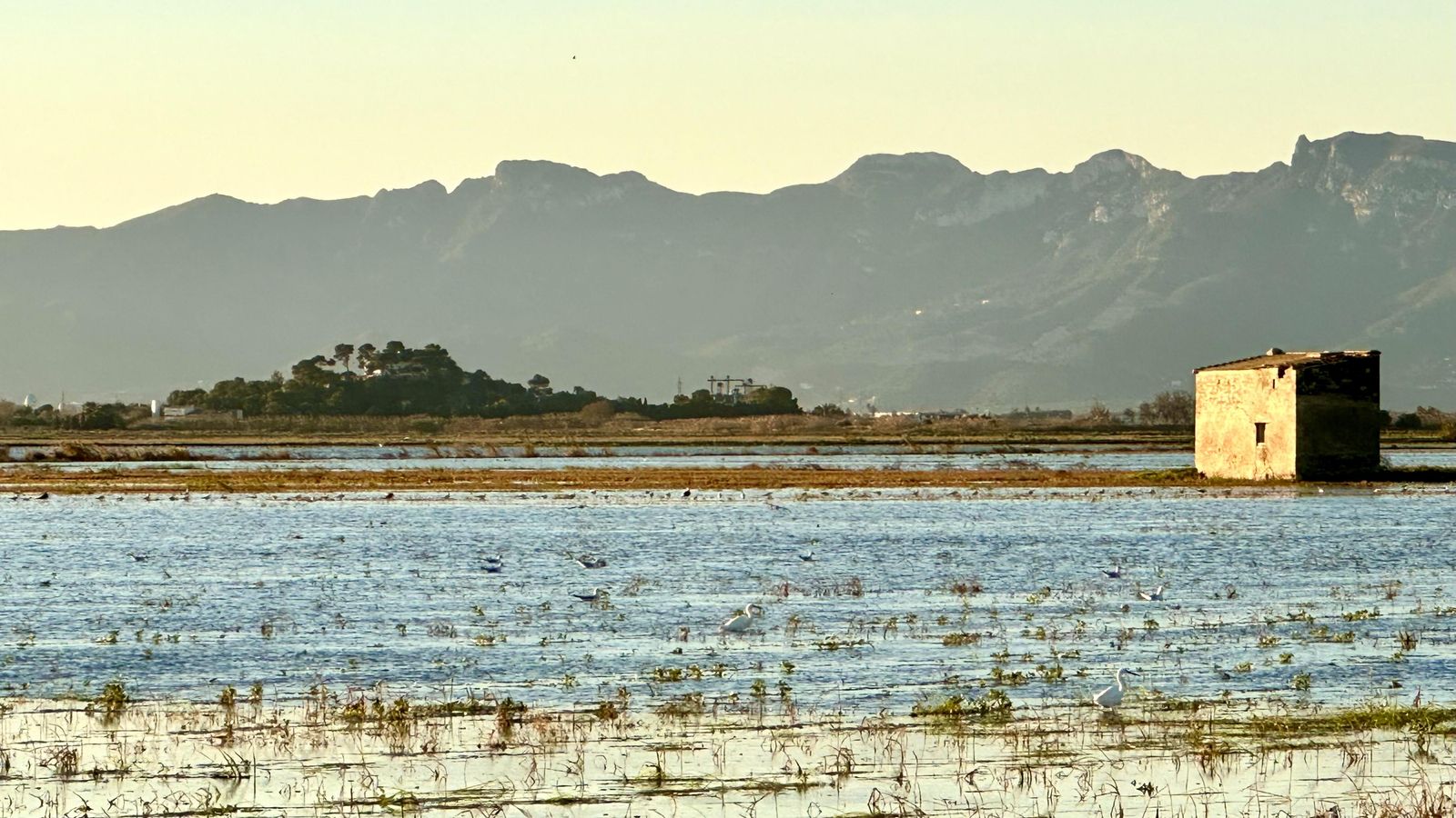 SUECA, LA RIBERA BAIXA
