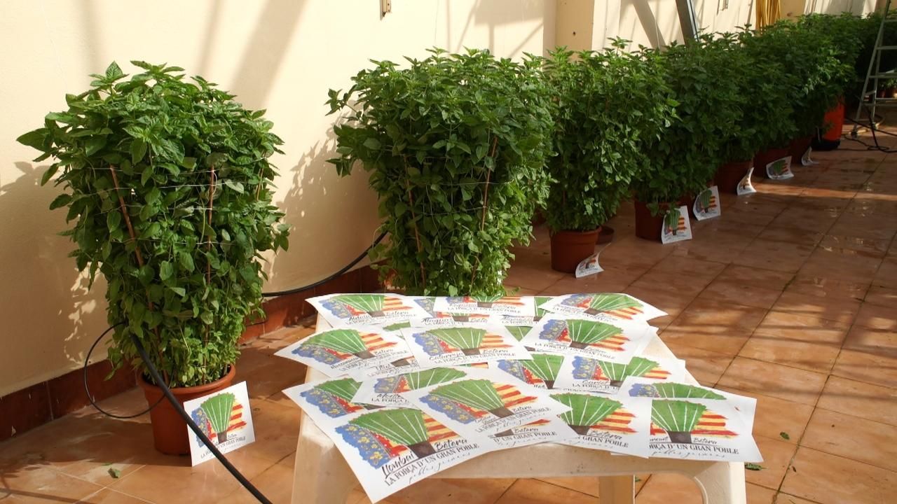 Les alfàbegues, preparades per a ser enviades als municipis afectats per la barrancada