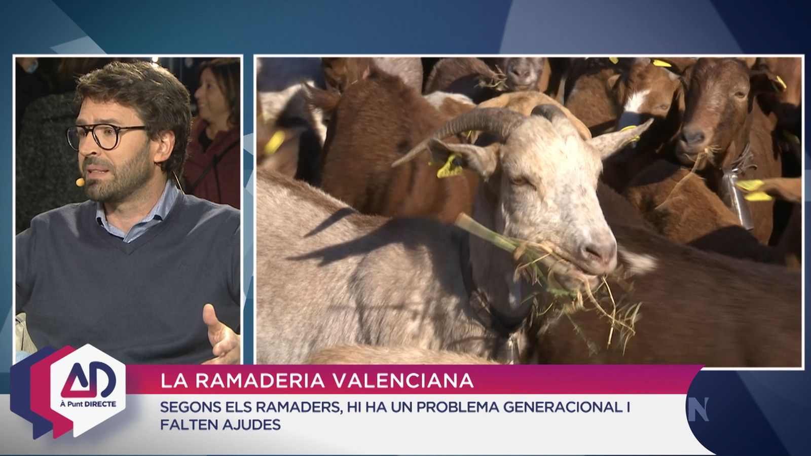 La ramaderia valenciana