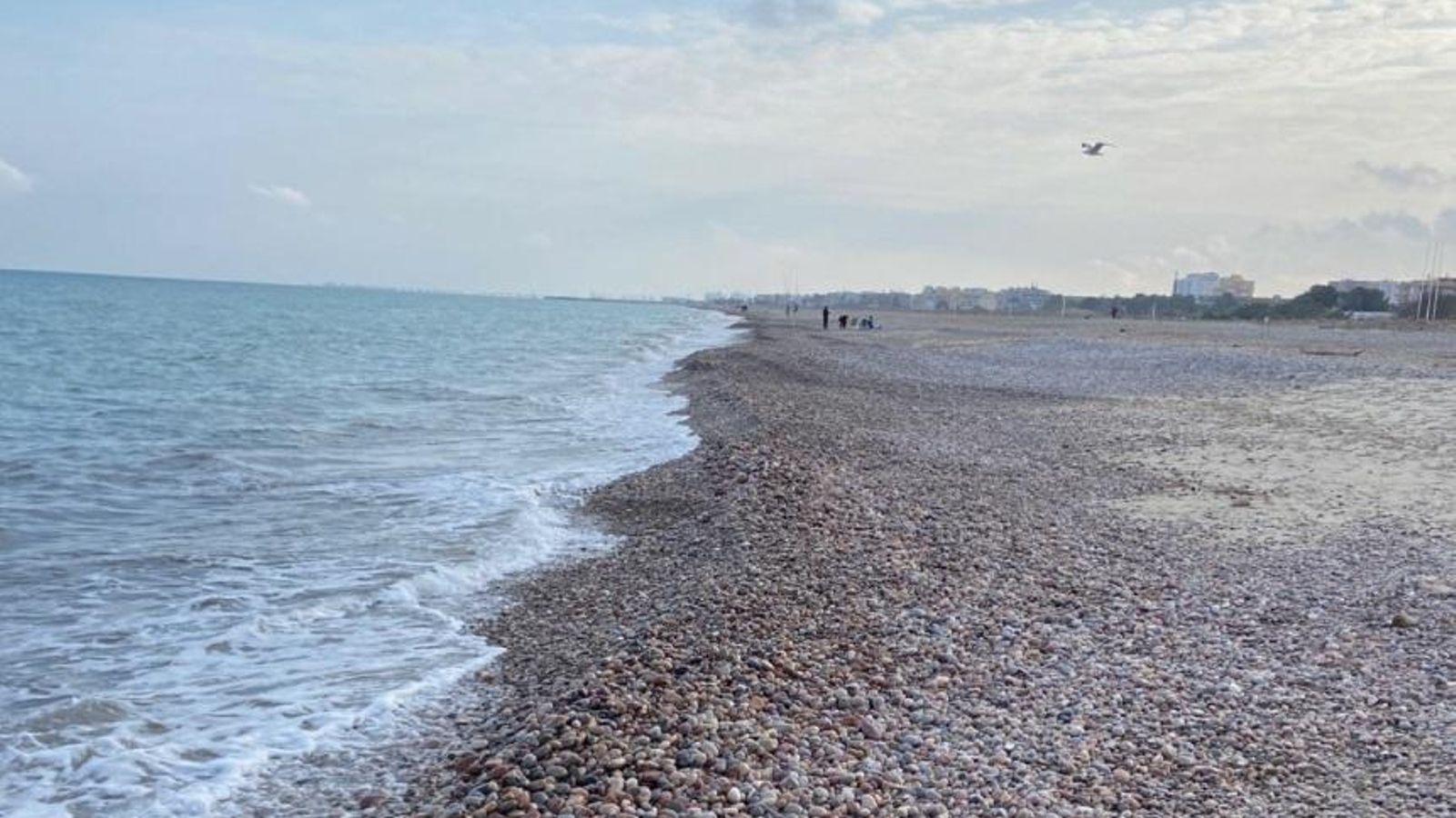 La regeneració de platges a la Comunitat Valenciana és un tema de debat entre els municipis costaners