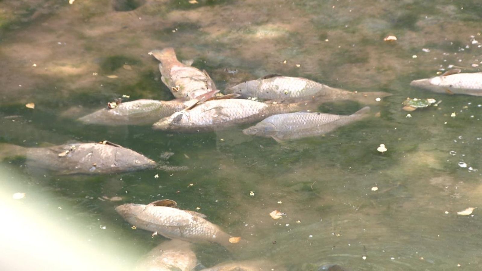 La sequera provoca que els tolls es queden sense aigua