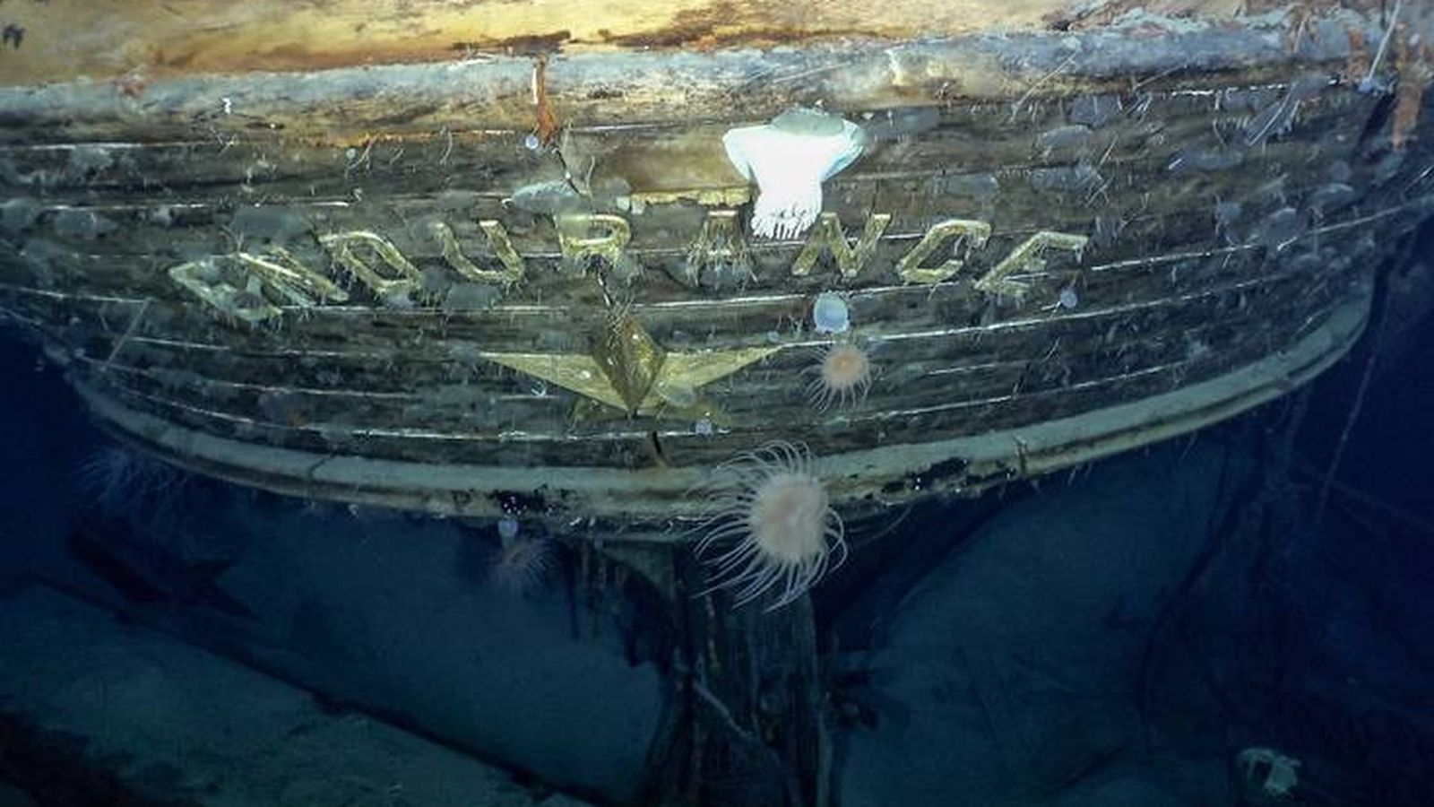 Les restes de l'Endurance / Falklands Maritime Heritage Trust and National Geographic Caption