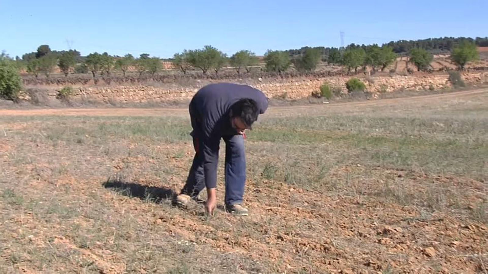 La sequera afecta els terrenys de la Comunitat Valenciana