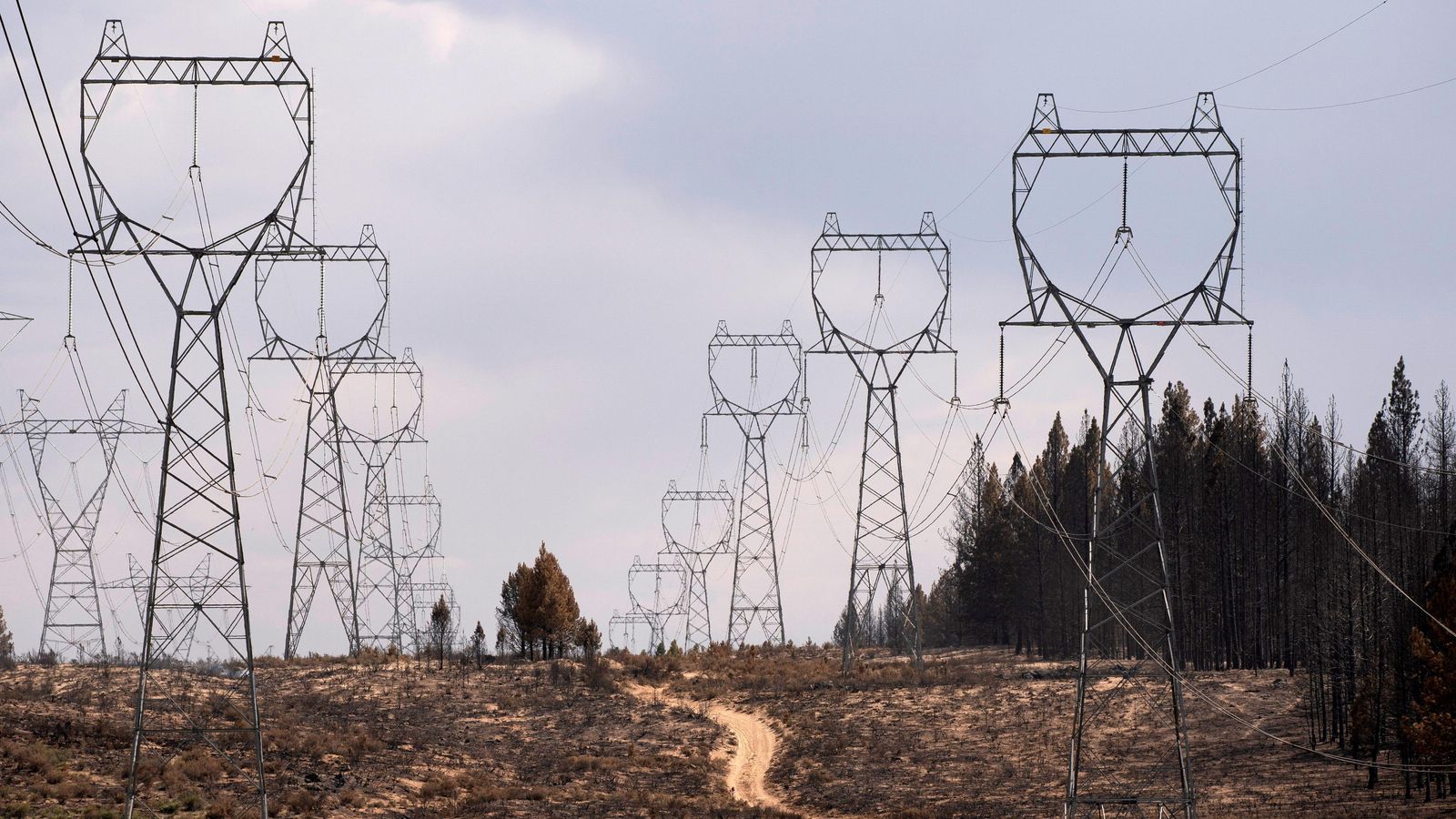Línies elèctriques en la zona carbonitzada per l'incendi