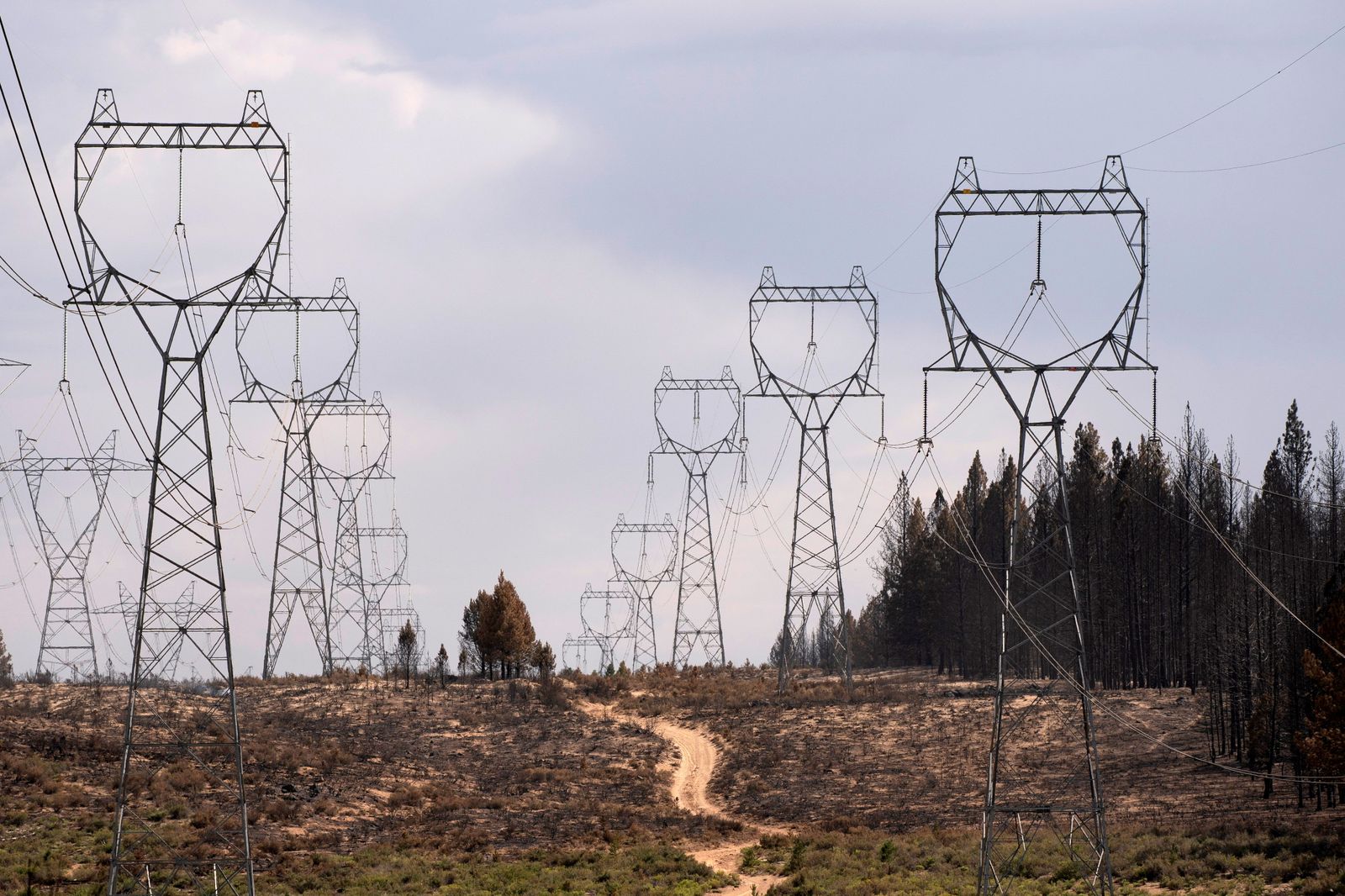 Línies elèctriques en la zona carbonitzada per l'incendi