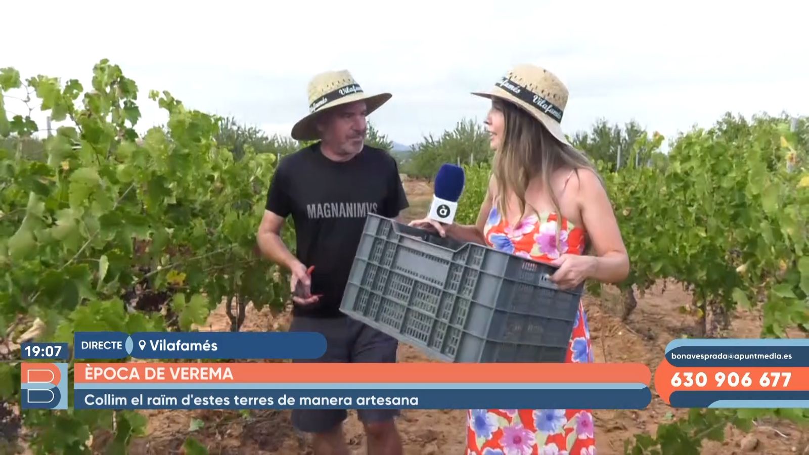 12.09.2022 | Època de verema a Vilafamés
