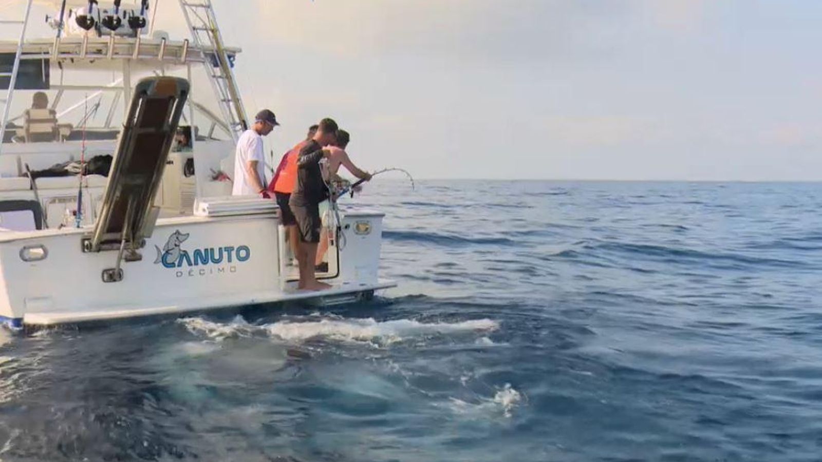 Pesca científica de tonina roja