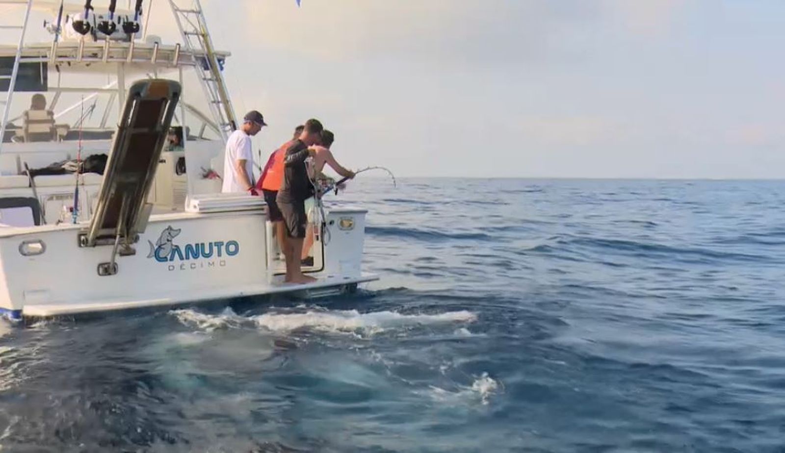 Pesca científica de tonina roja