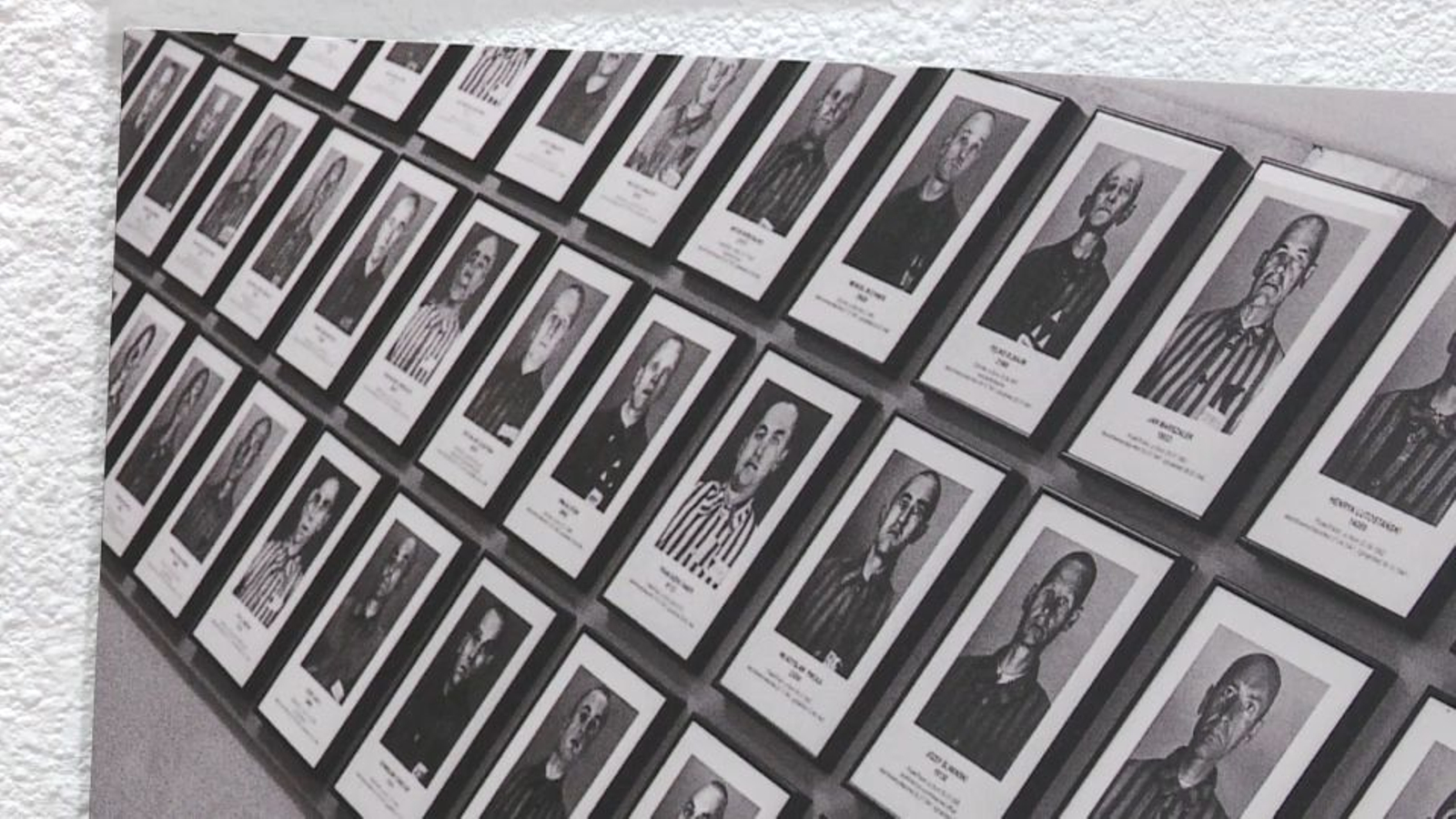 Imatge de represaliats nazis a l'exposició fotogràfica 'Auschwitz-Birkenau', a Bètera