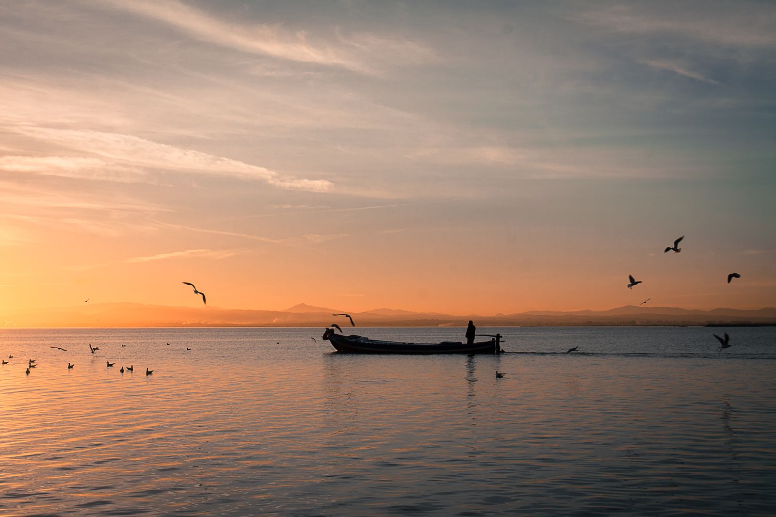 04.05.2023 | El parc natural de l'Albufera bat el rècord amb la visita de més de 100.000 aus de 60 espècies diferents