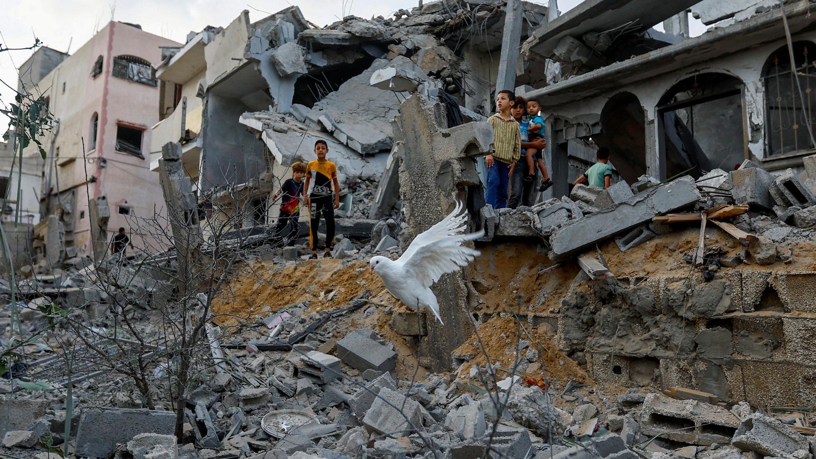 Un colom sobrevola les runes de les cases destruïdes en els atacs israelians a Khan Younis, al sud de la Franja de Gaza