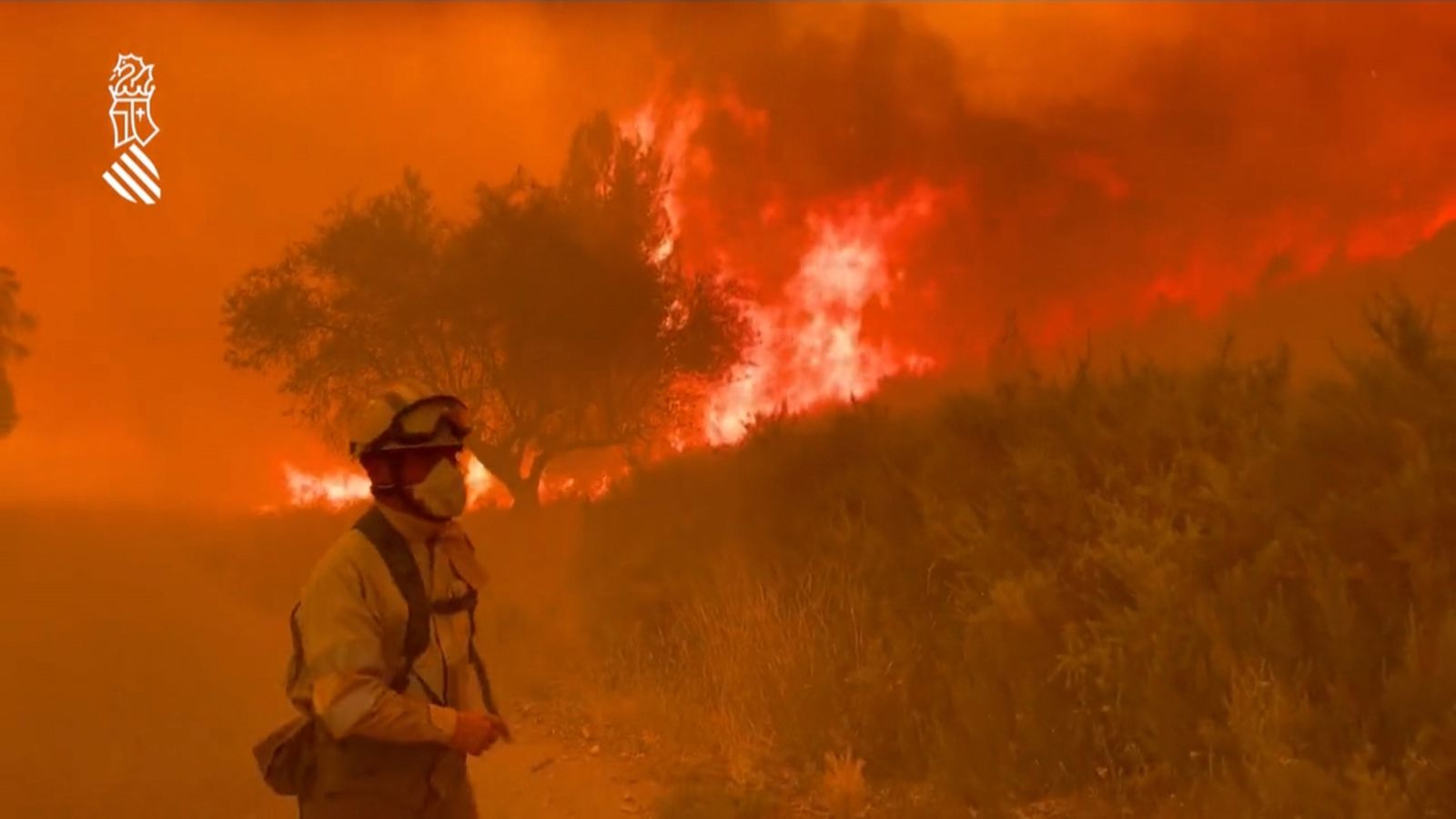 El treball dels bombers del Consorci Provincial de Castelló contra les flames de l'incendi de Begís