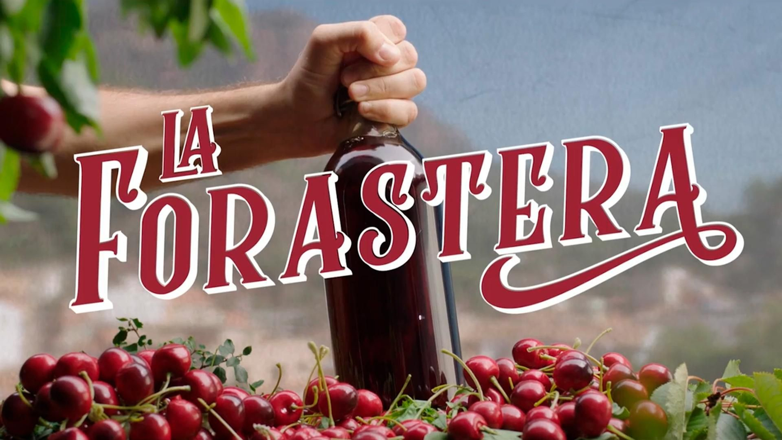 Logo La forastera