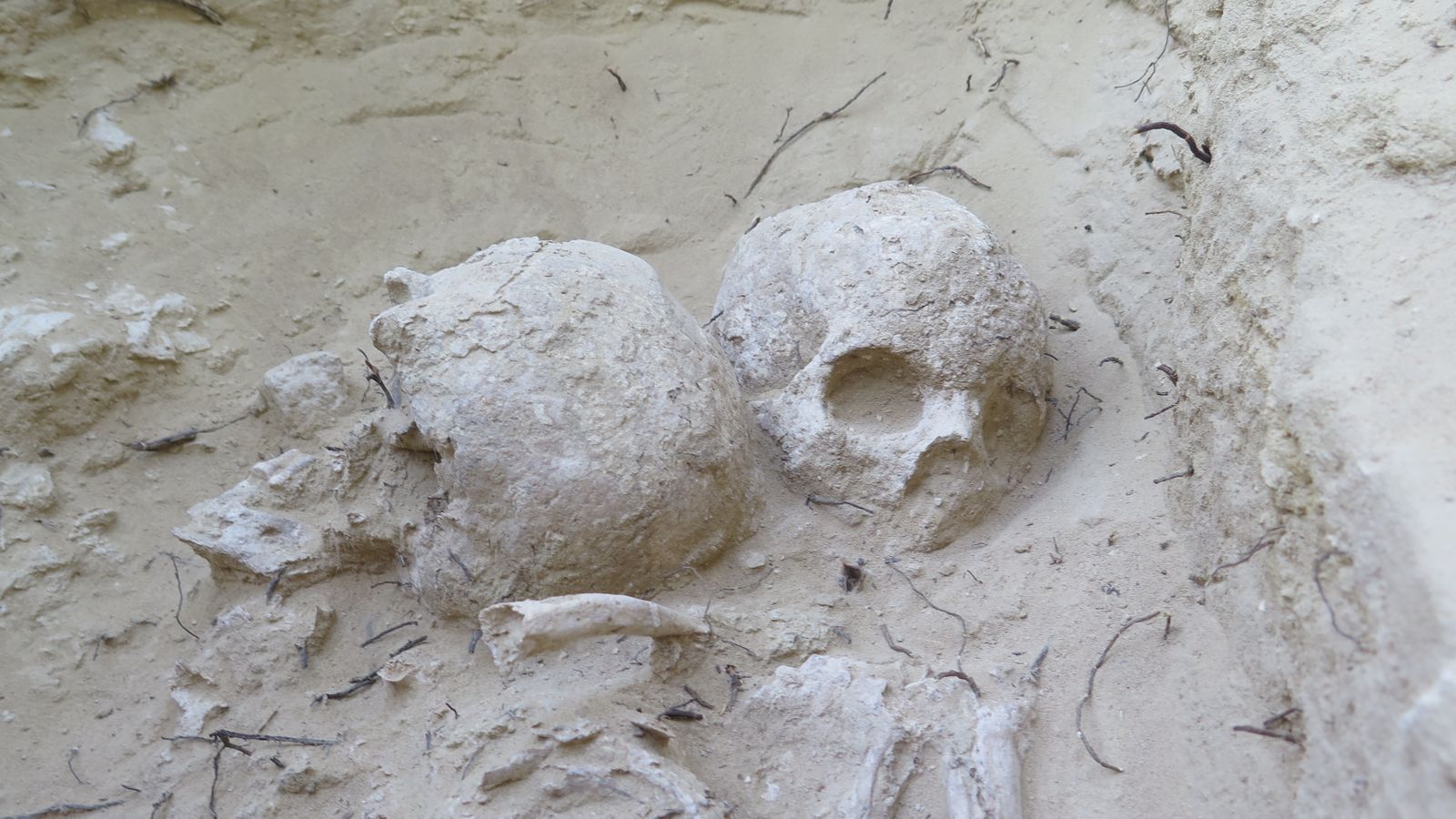 Un detall de les troballes fetes al jaciment