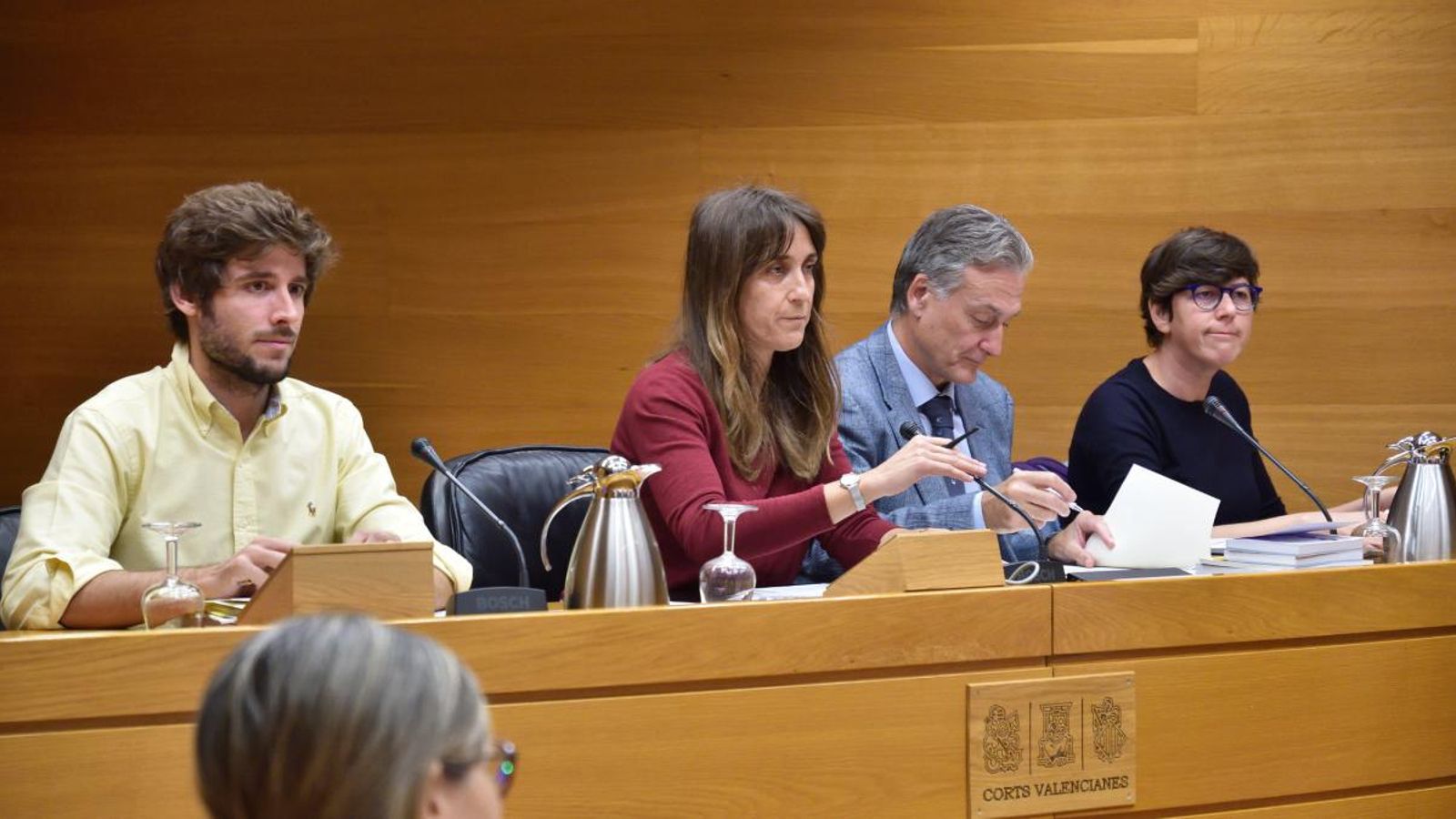 La Comissió de Política Social i Ocupació de les Corts