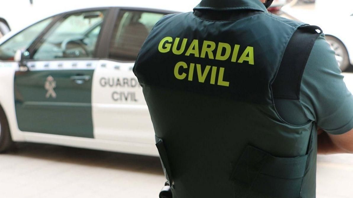 Investiguen la mort d'un gorrilla després de patir una pallissa