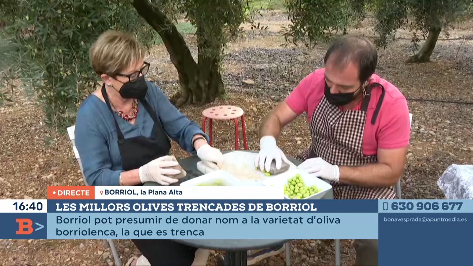 28.10.2021 | Les millors olives trencades de Borriol