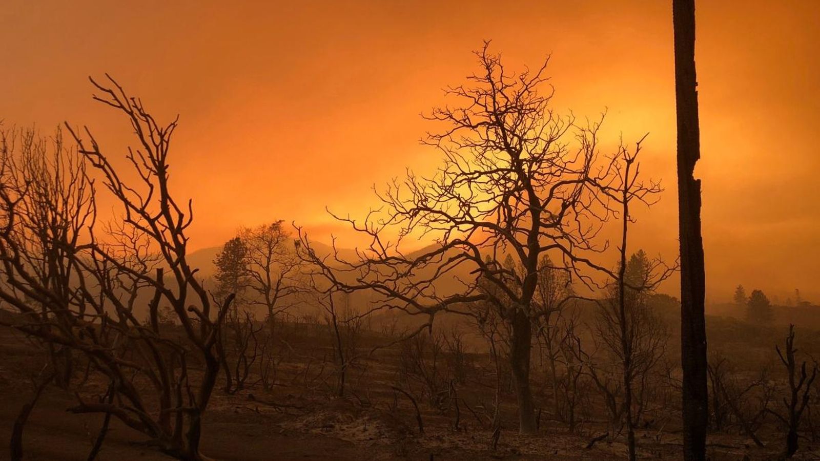 Paisatge ennegrit pels danys dels incendis forestals prop de Keswick, California | Alexandria Sage (Reuters)