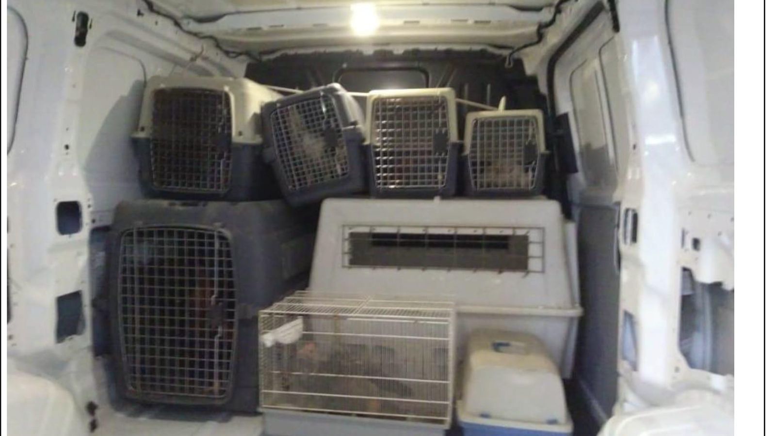 Intervenen 27 gll de brega a Alacant