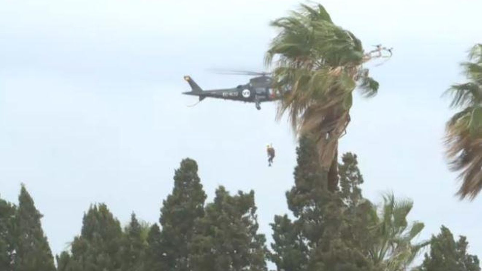 Moment en què l'equip de salvament en altura rescata l'home, al delta del Palància