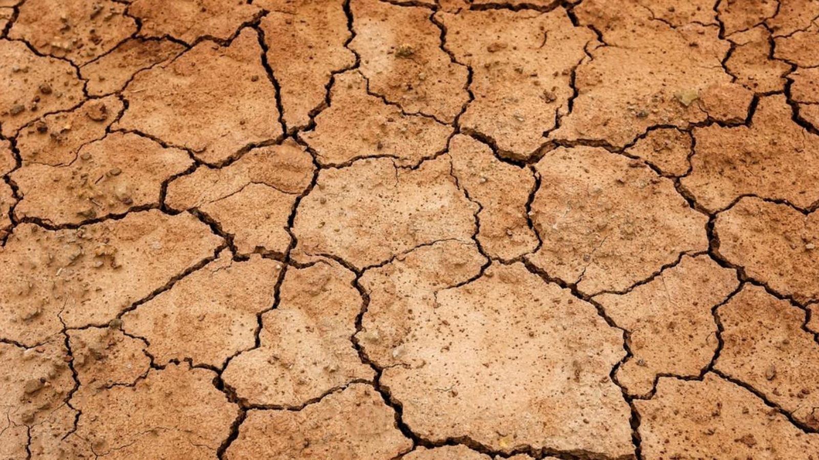 Experts plantegen a València alternatives per a adaptar-se al canvi climàtic
