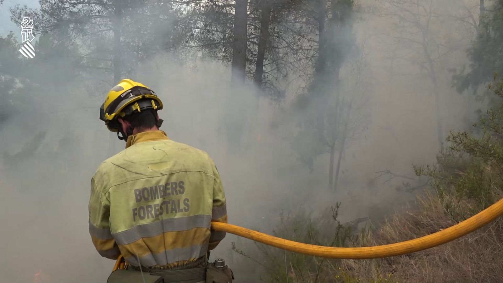 Imatge d'arxiu d'un bomber forestal