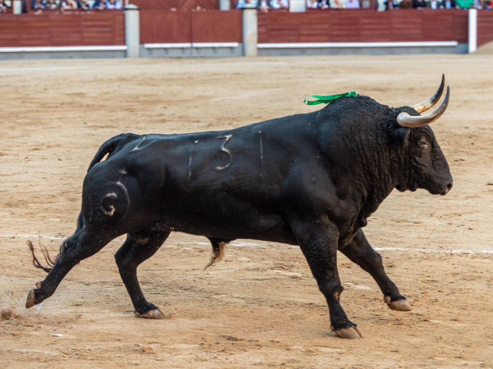 Bou de Fuente Ymbro