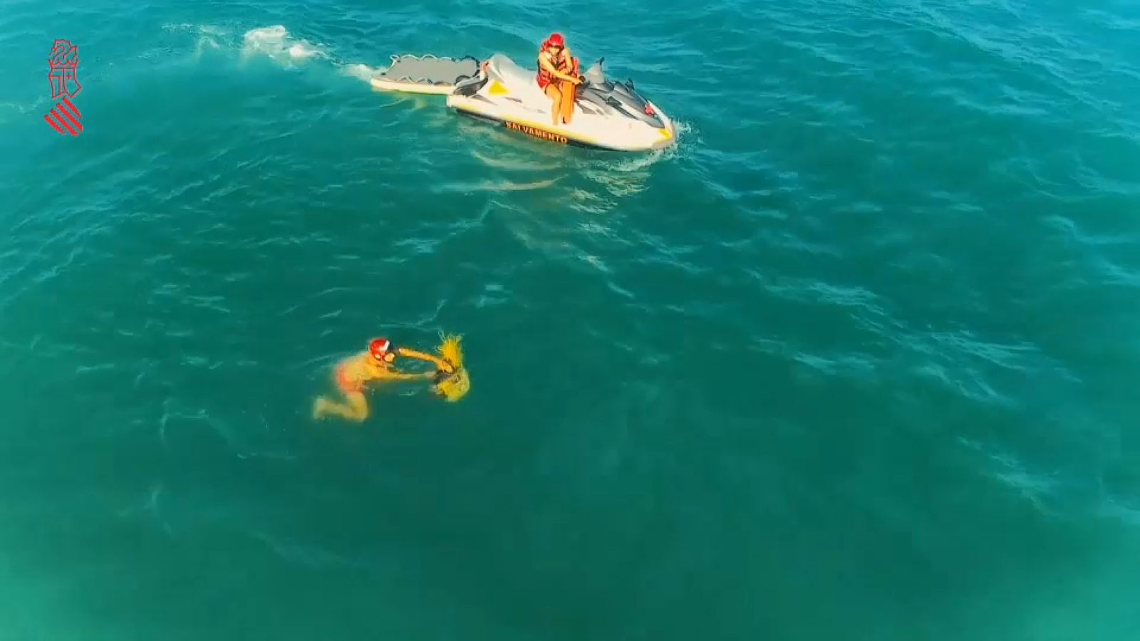 Rescatada una tortuga en una xarxa de pesca