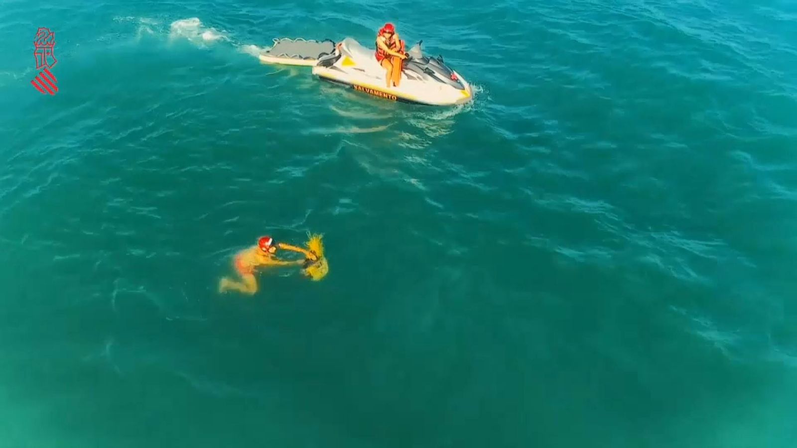 Rescatada una tortuga en una xarxa de pesca