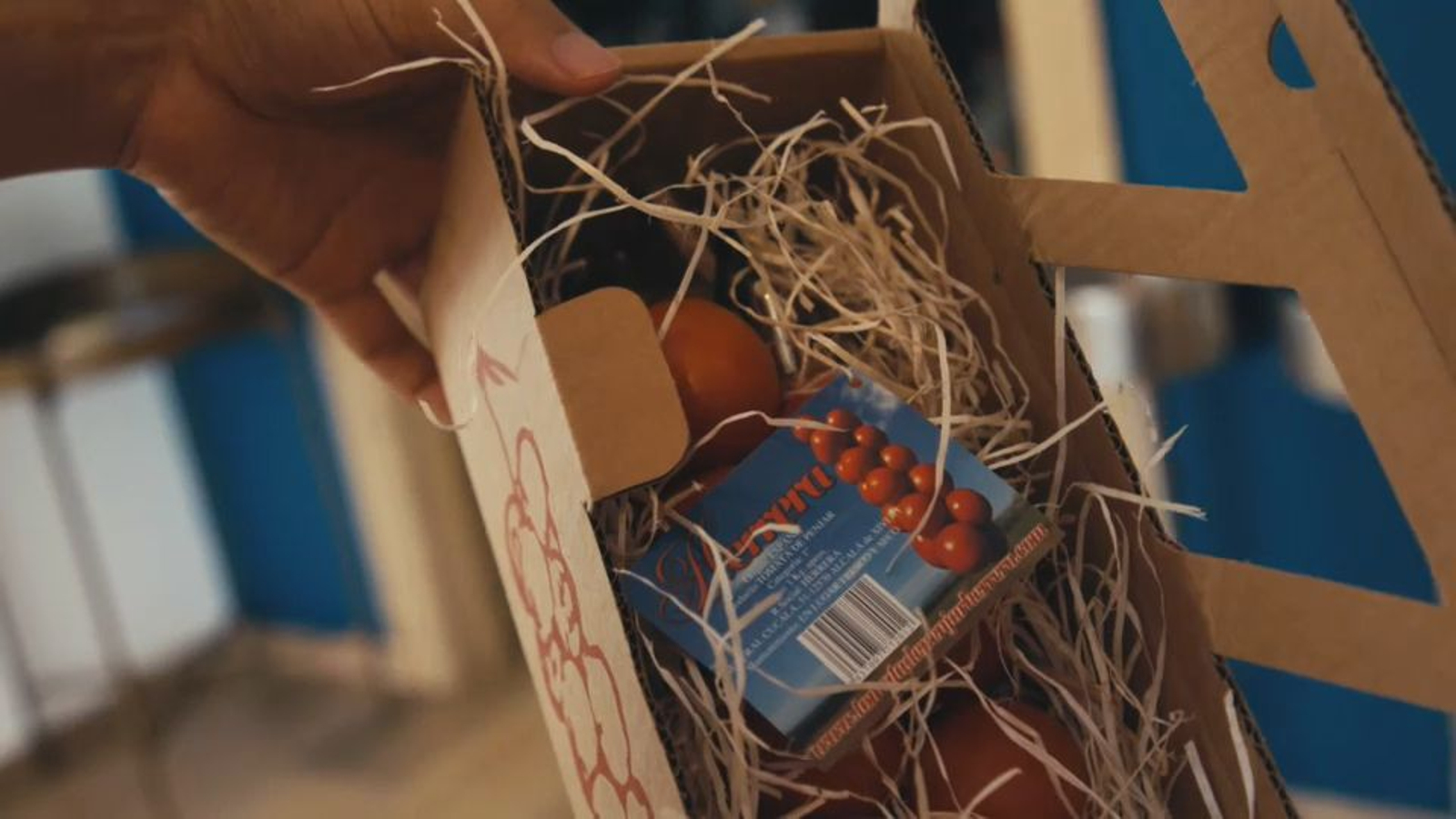 Detall de tomaca de penjar