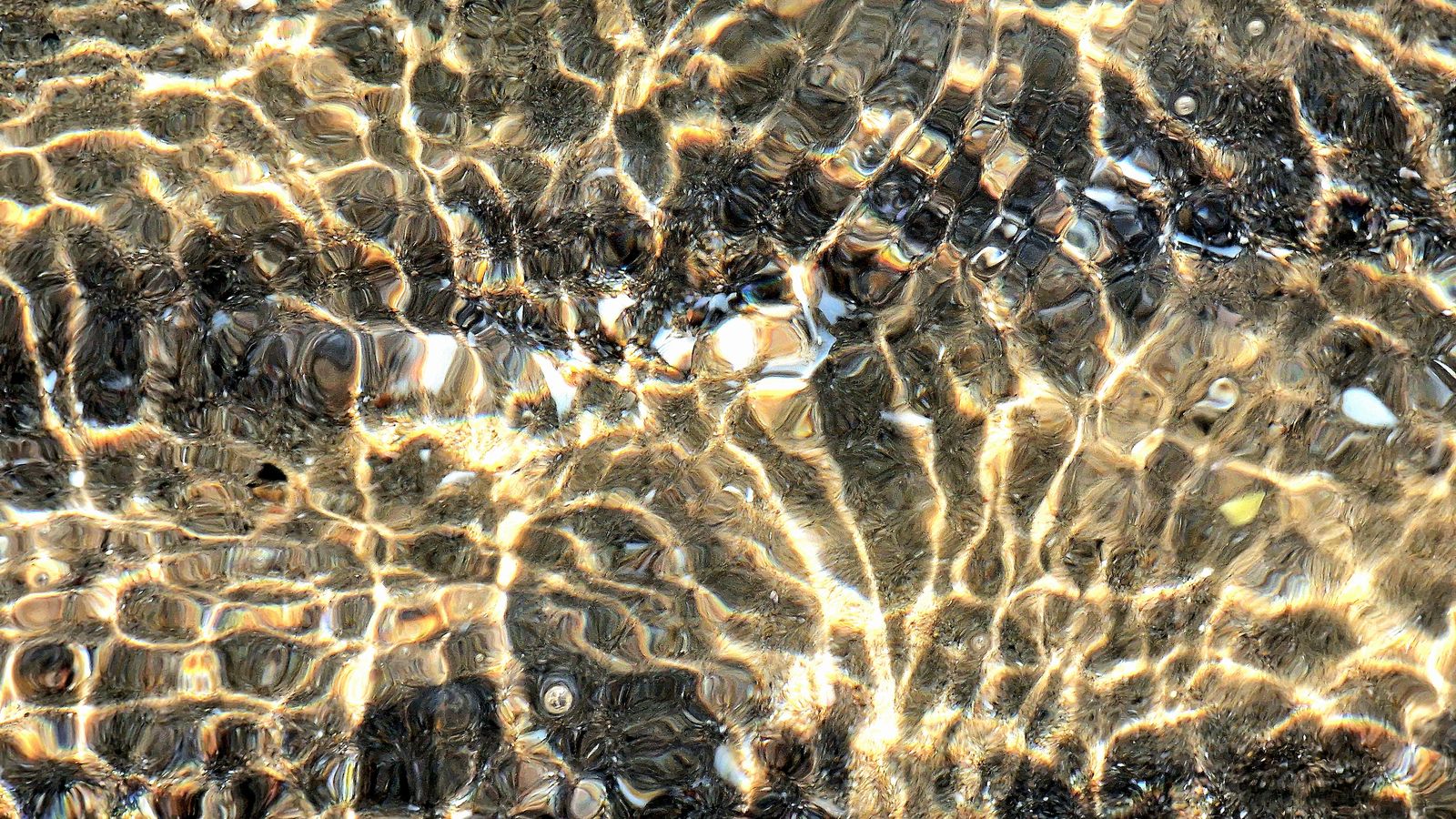 PLATJA DE LA MALVA ROSA, VALÈNCIA