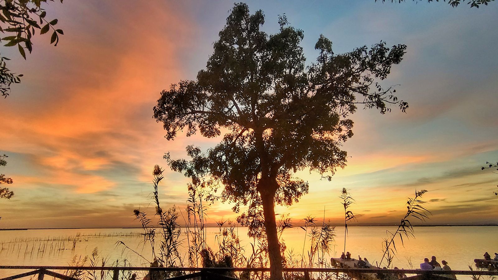 L'ALBUFERA, VALÈNCIA