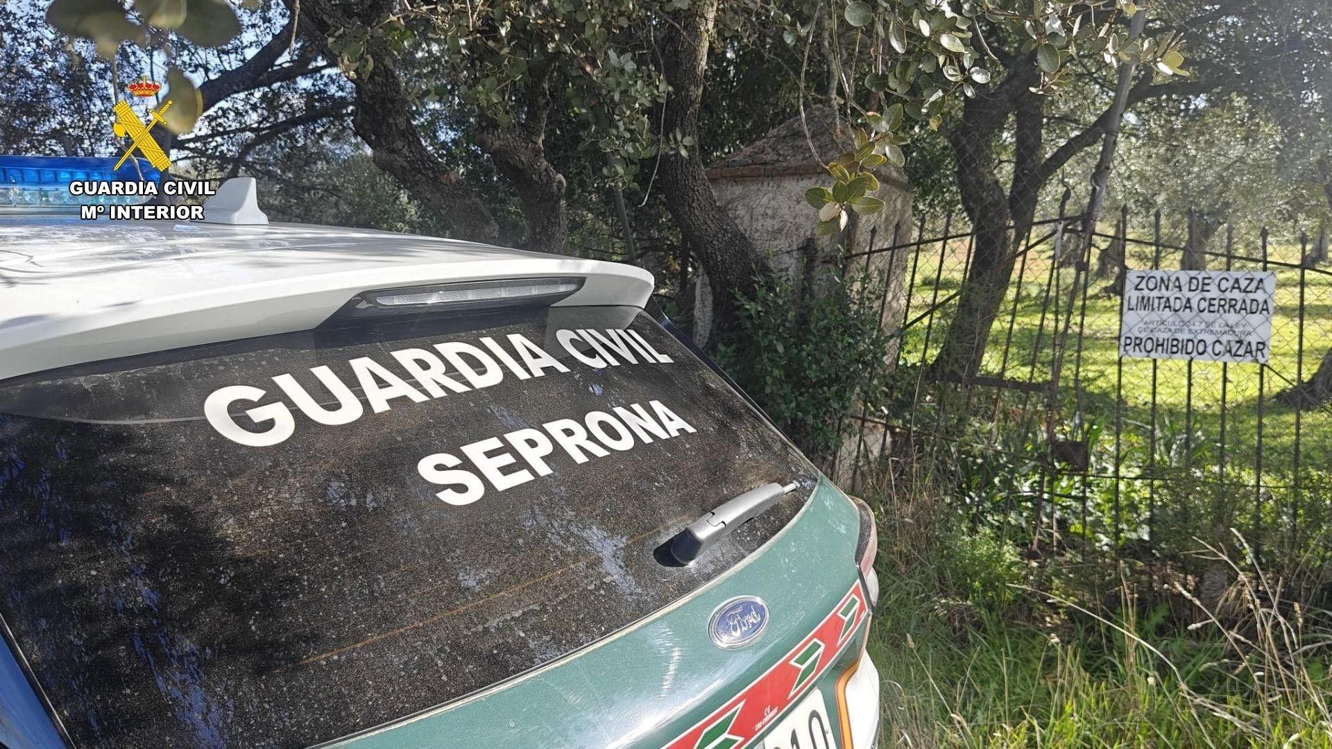 Imatge d'arxiu d'un vehicle del Seprona
