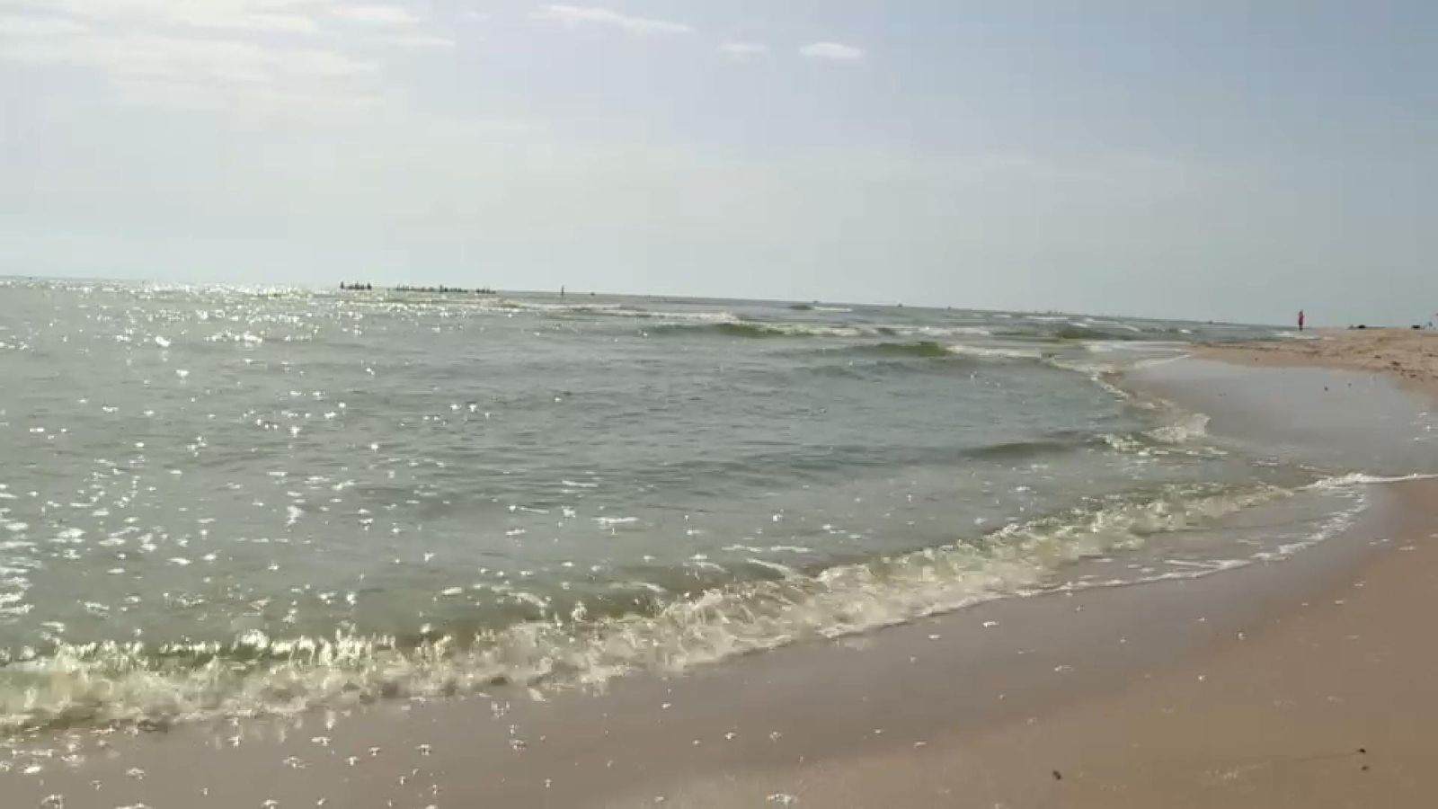 El trasvassament d'aigua de l'Albufera tiny de verd la mar al Perellonet