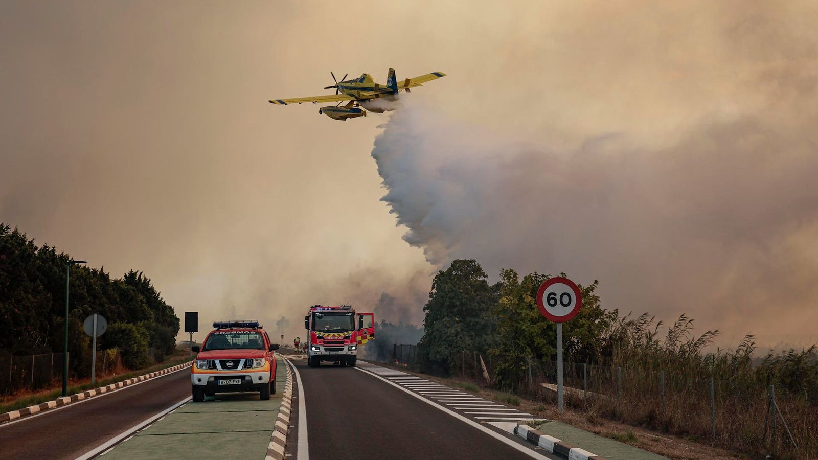 L'incendi declarat a la gola del Pujol, en ple parc natural de l'Albufera, ha generat una gran fumeguera