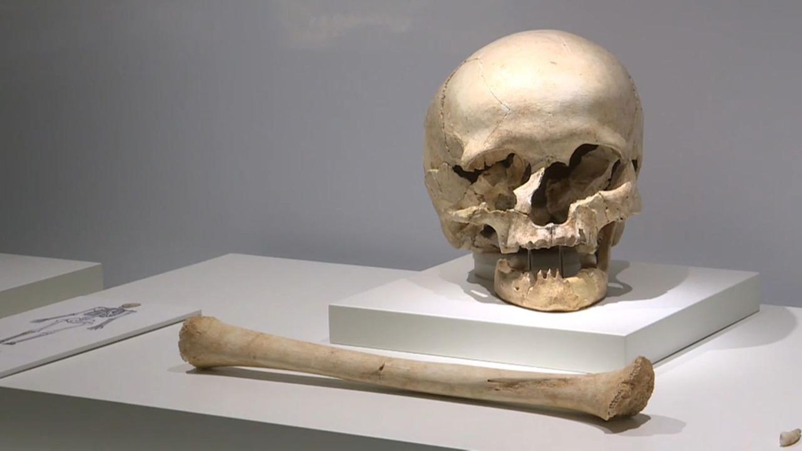 VÍDEO | Nou espai per a la prehistòria a la Beneficència