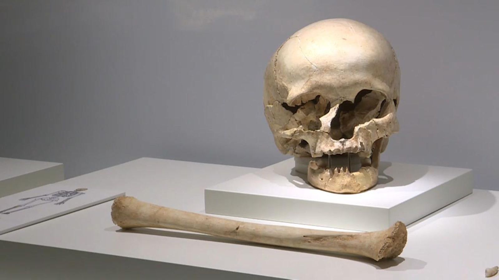 VÍDEO | Nou espai per a la prehistòria a la Beneficència