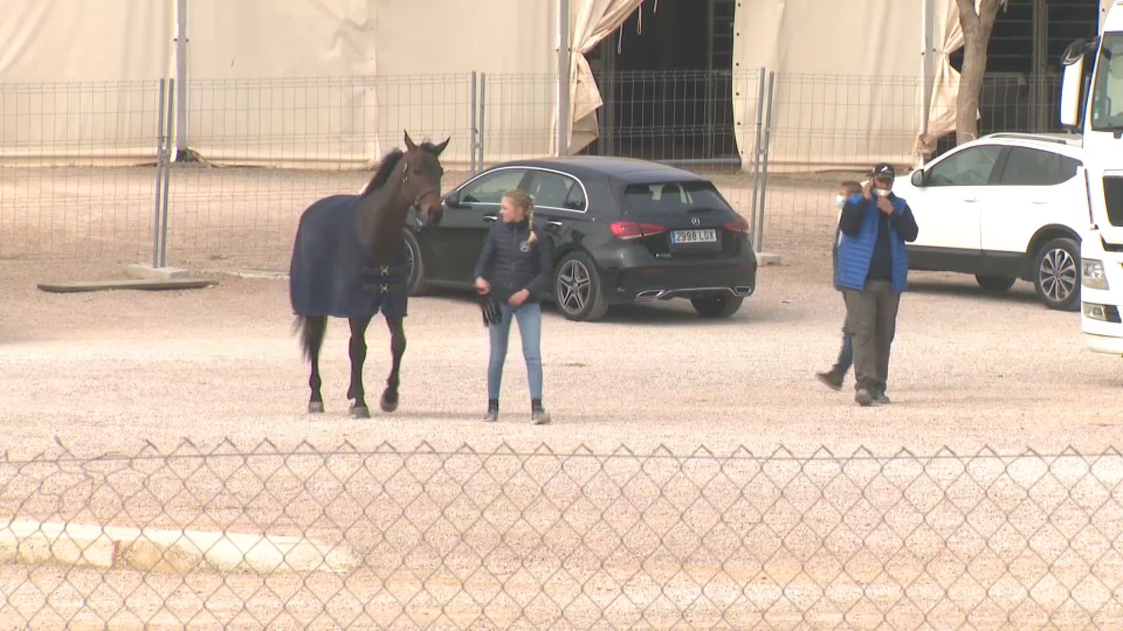 Un cavall dins del recinte eqüestre de Godella, en una imatge d'arxiu